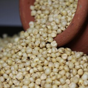 Sorghum Millet (Jowar / Jonnalu)