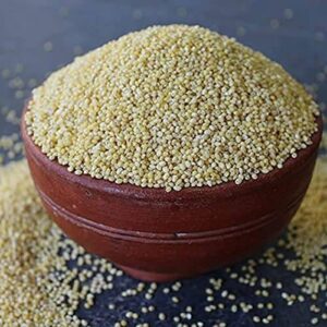 Little Millet –  (సామలు)