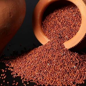 Finger Millet (Ragi / రాగులు)